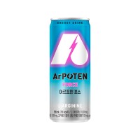 CHUNGJUNGWON Arpoten Force 355ml x 24